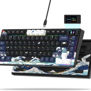 Gaming Accessories